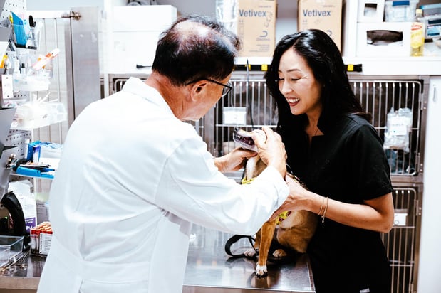 Images Imperial Animal Hospital