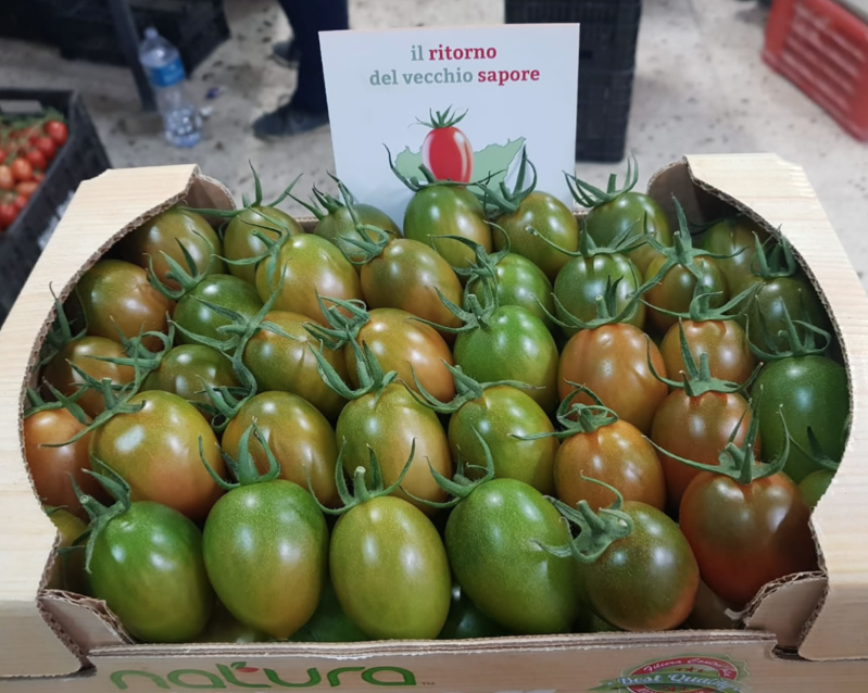 Images Pomodoro Buttiglieddru di Licata