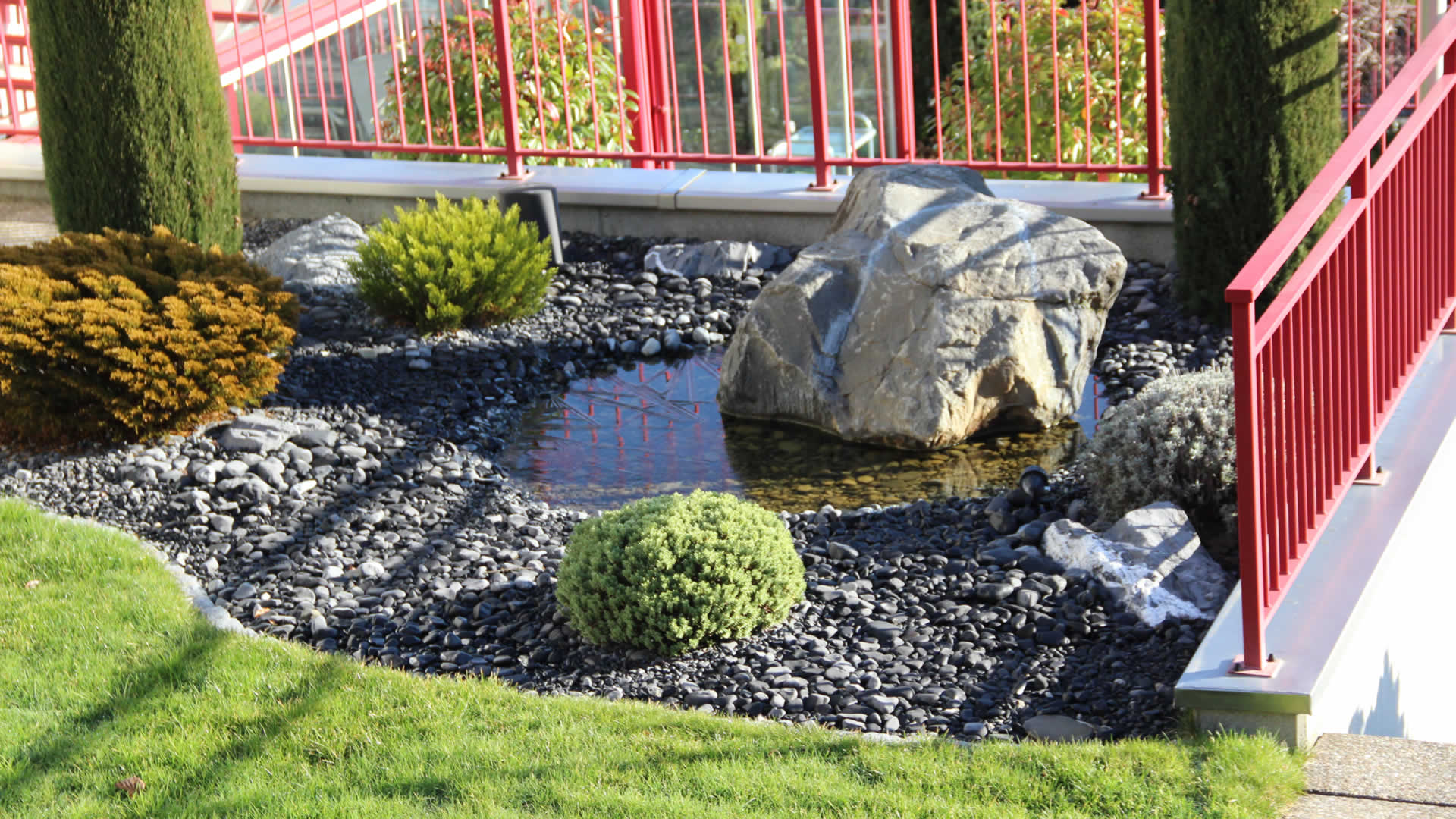 Bilder BRÜHWILER-GARTENBAU, BAUMPFLEGE