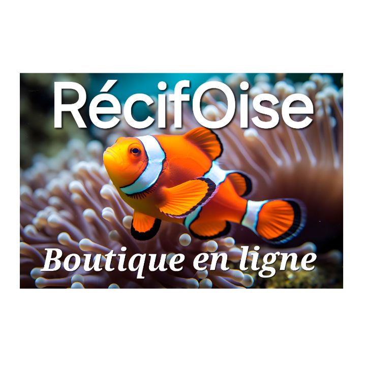 RécifOise animalerie