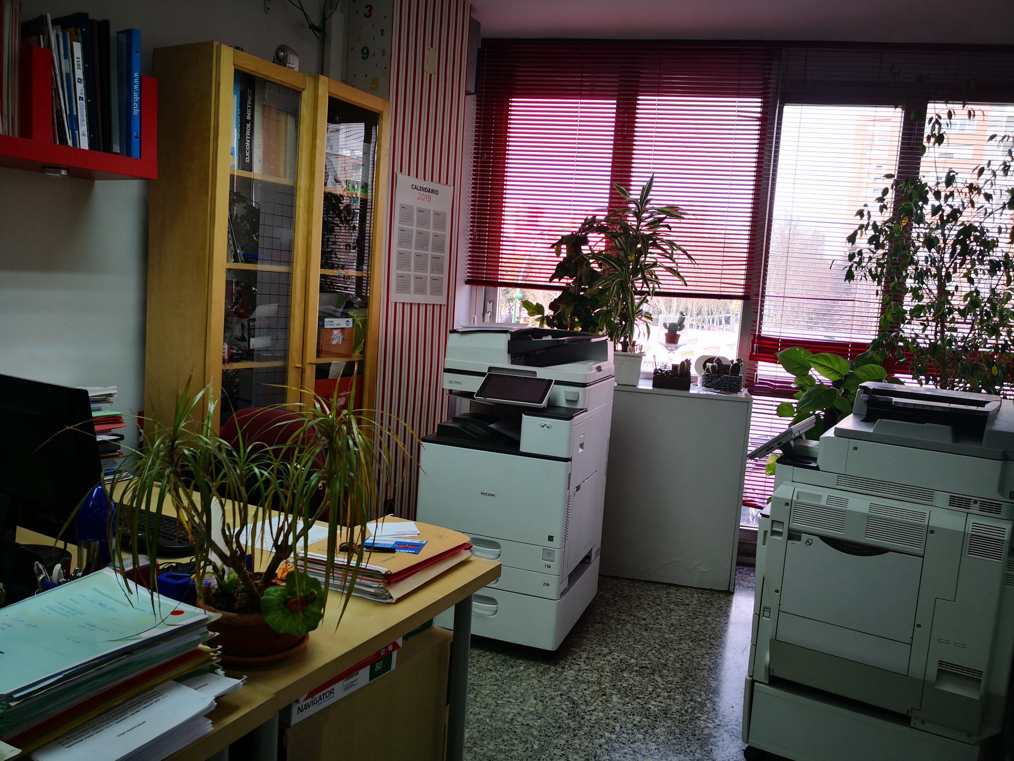 Images CS Asesoría