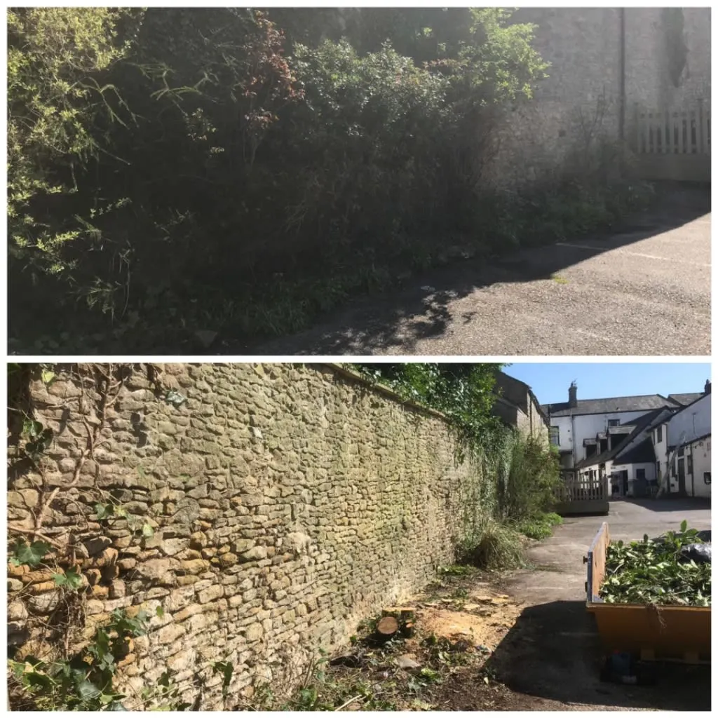 Images Wincanton Tree Care