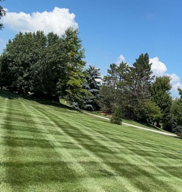 Images Cutting Edge Lawn Solutions