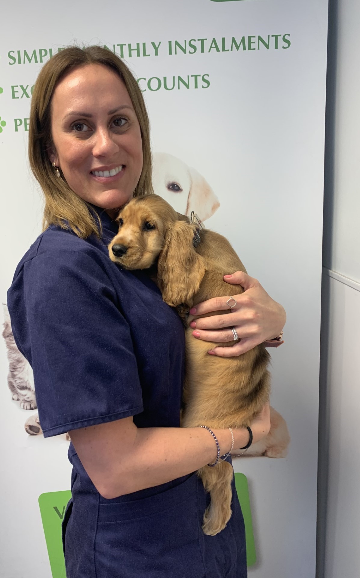 Images Streatham Hill Veterinary Surgery