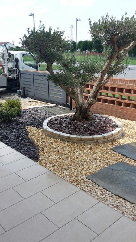 Images Idea Verde di Pettenuzzo Stefano