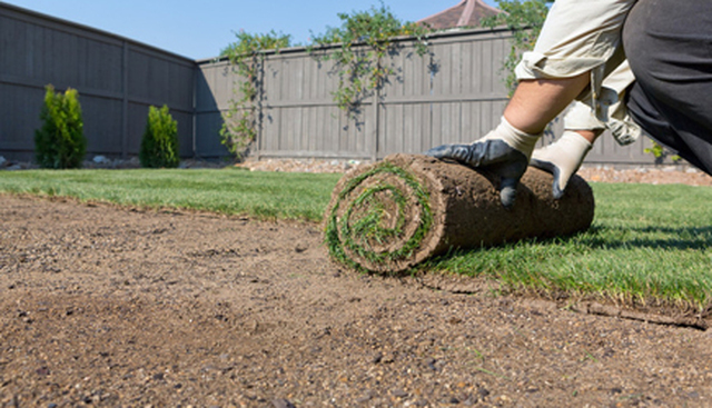 A R Gardening Services Hertford 07932 154446