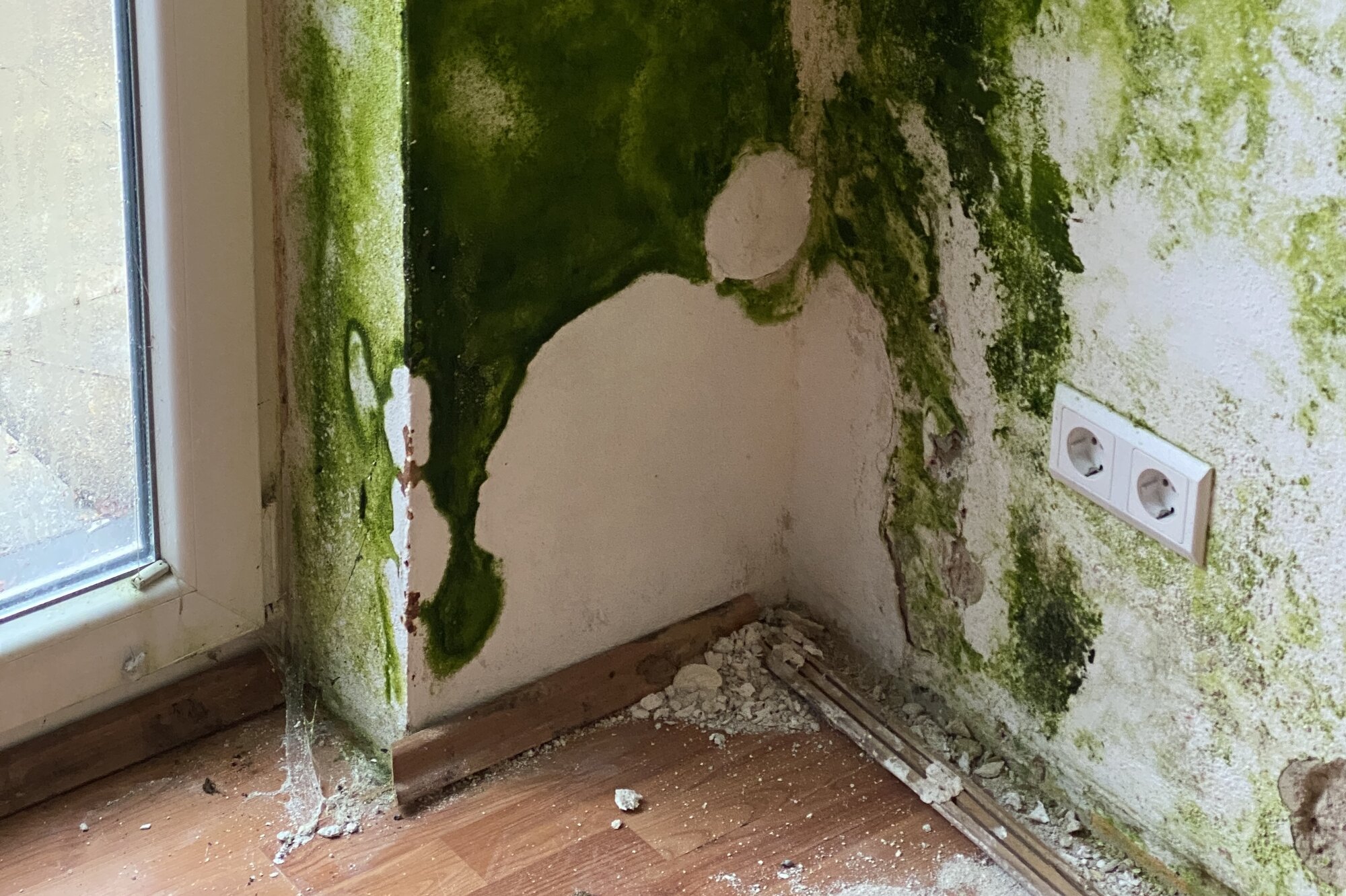 Bilder MK Trocknungsservice