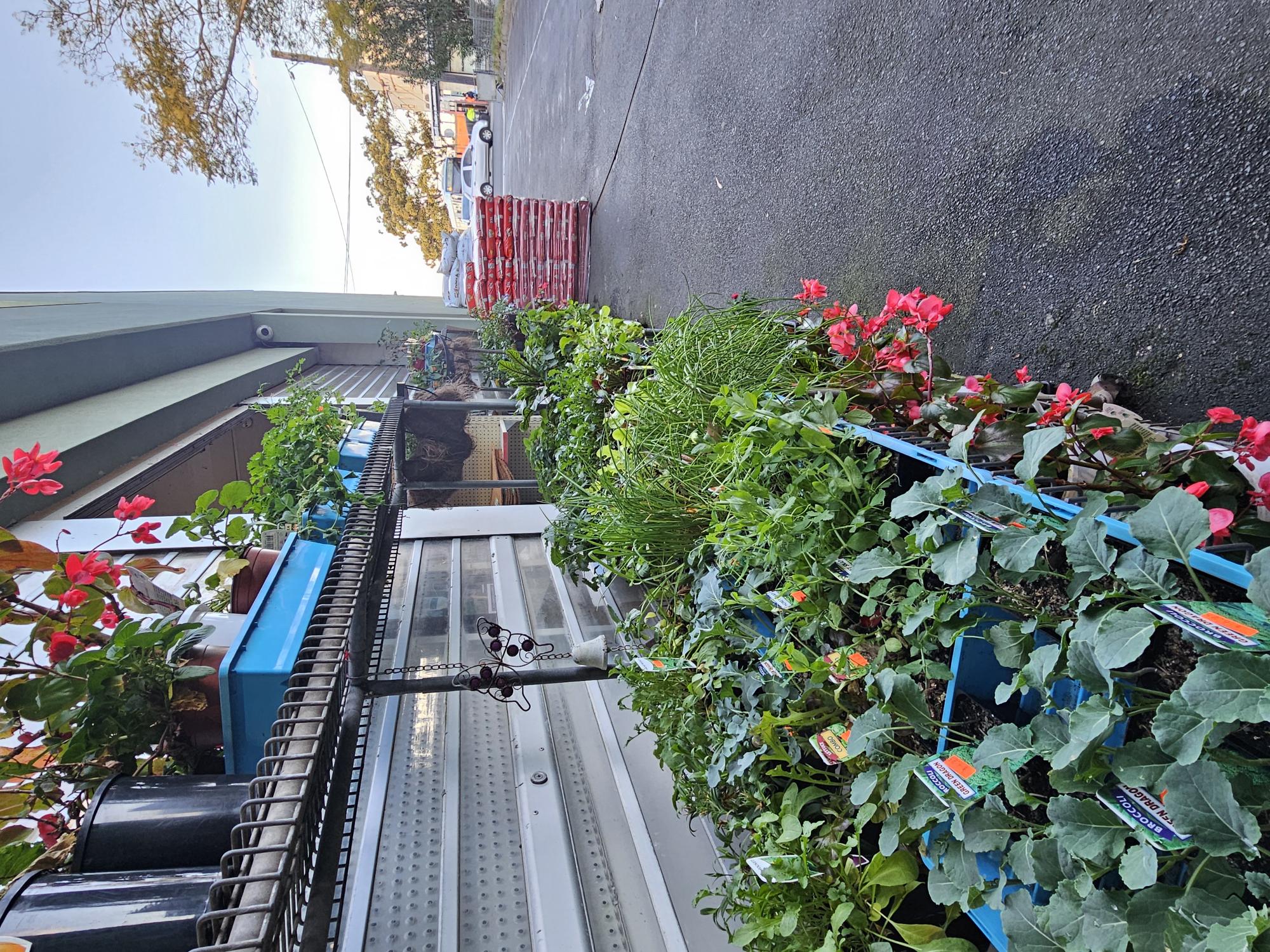 Images Condell Park Produce & Pet Supplies