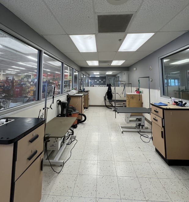 Images Petco Grooming