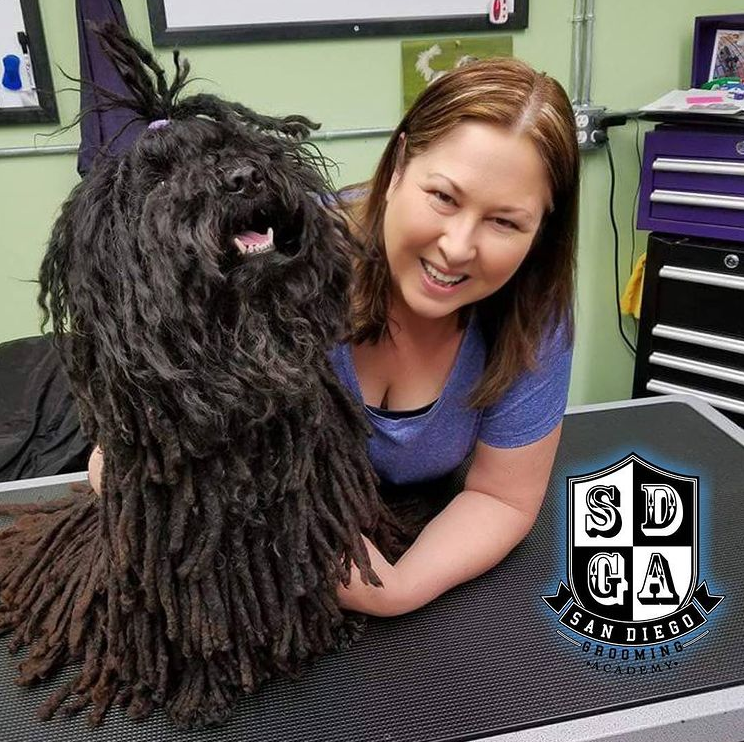 Images San Diego Grooming Academy