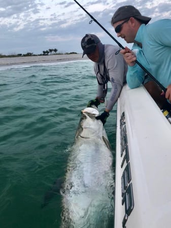 Images Reelfishing Charters