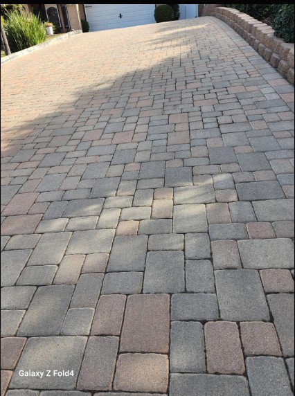 Benitez Landscaping Image