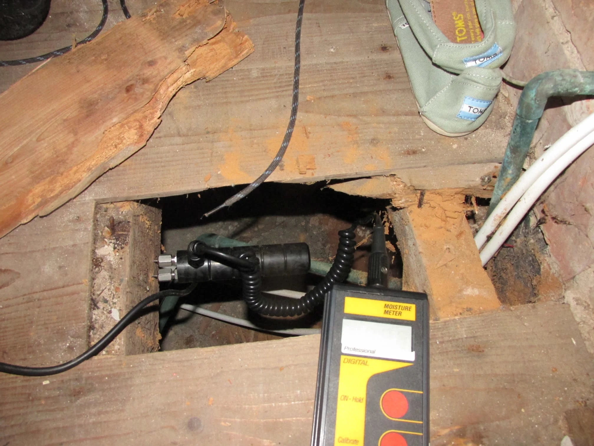 Images Damp Detectives