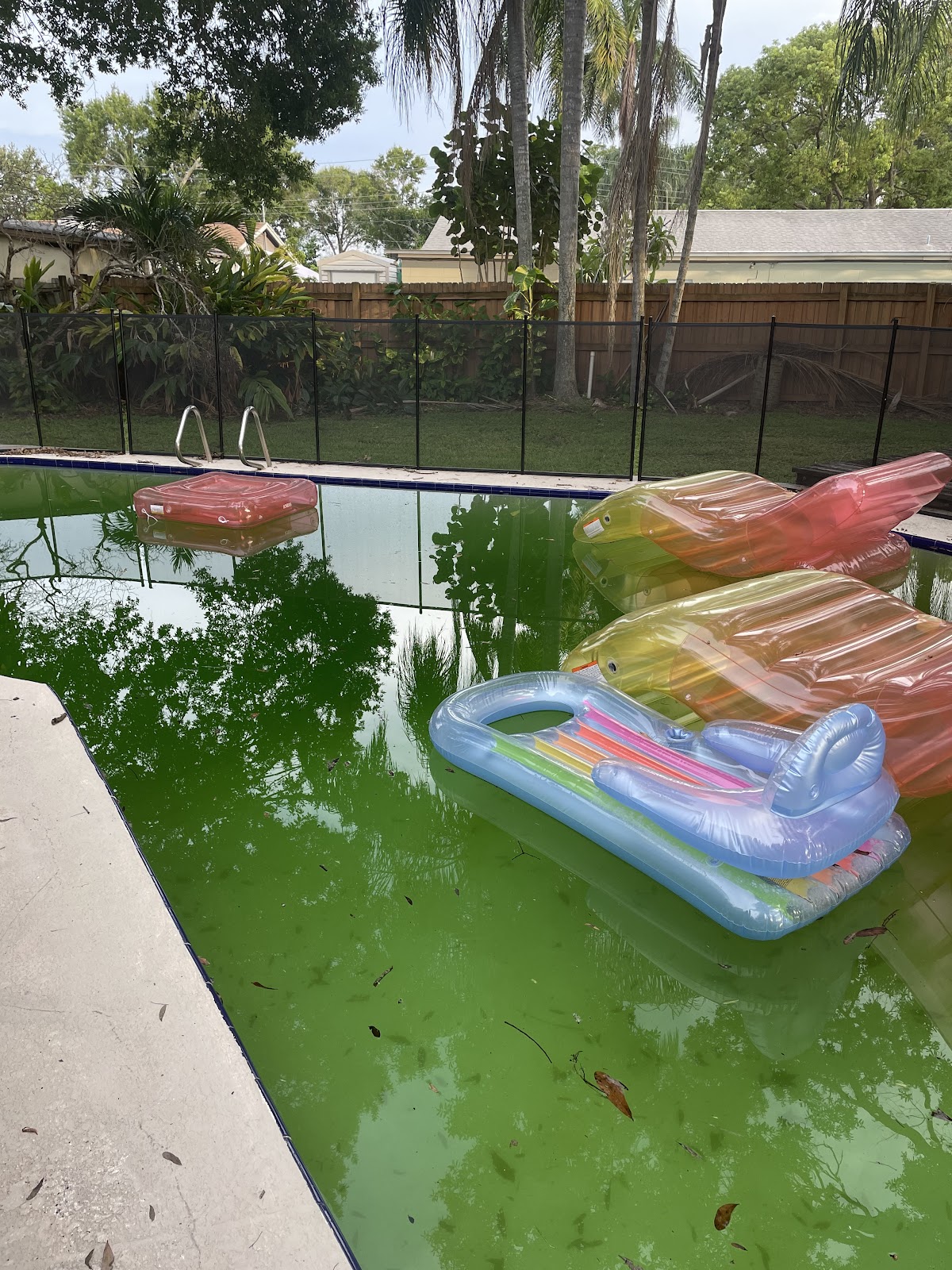 Residential swimming pool with green algae-filled water, floating pool toys, and visible debris requiring cleaning and treatment.