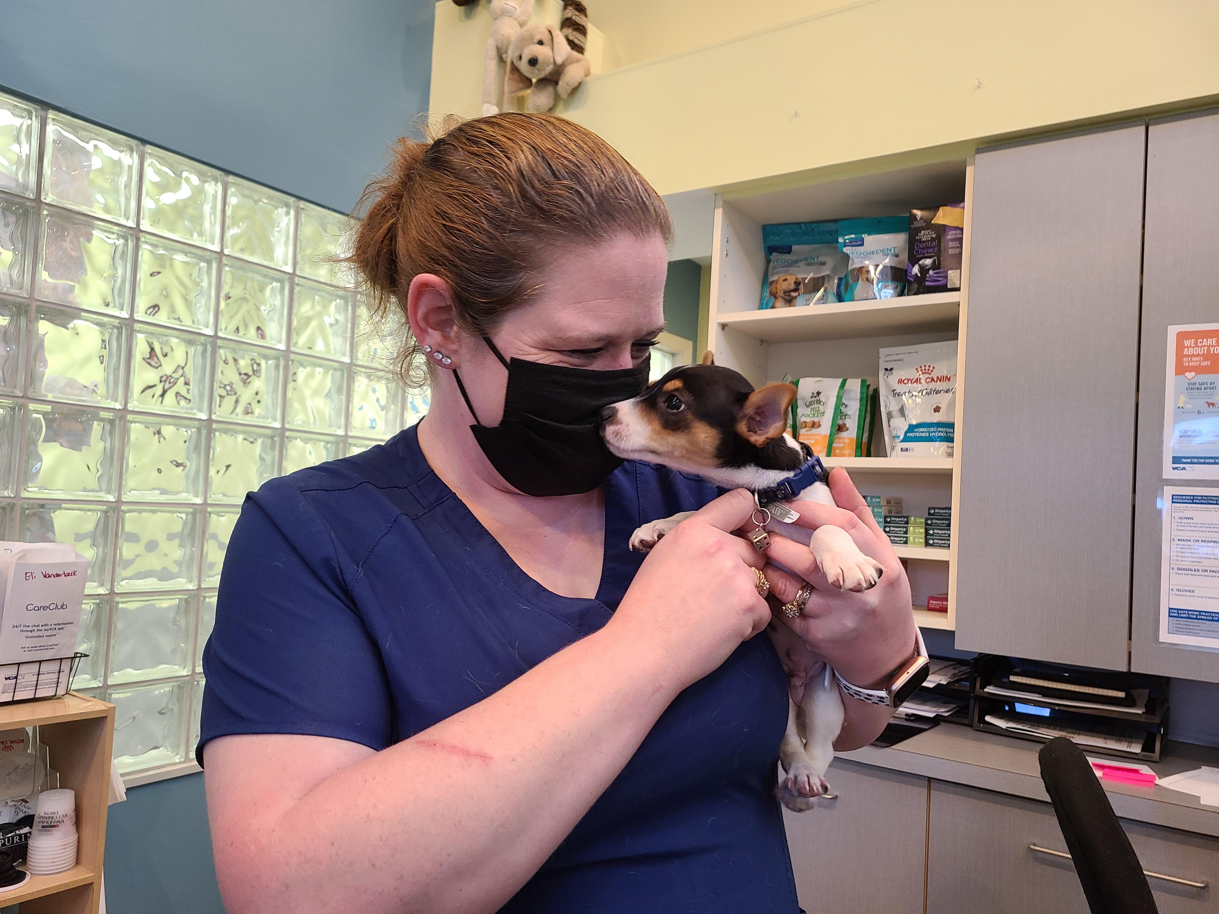Image 22 | VCA Albemarle Veterinary Health Care Center