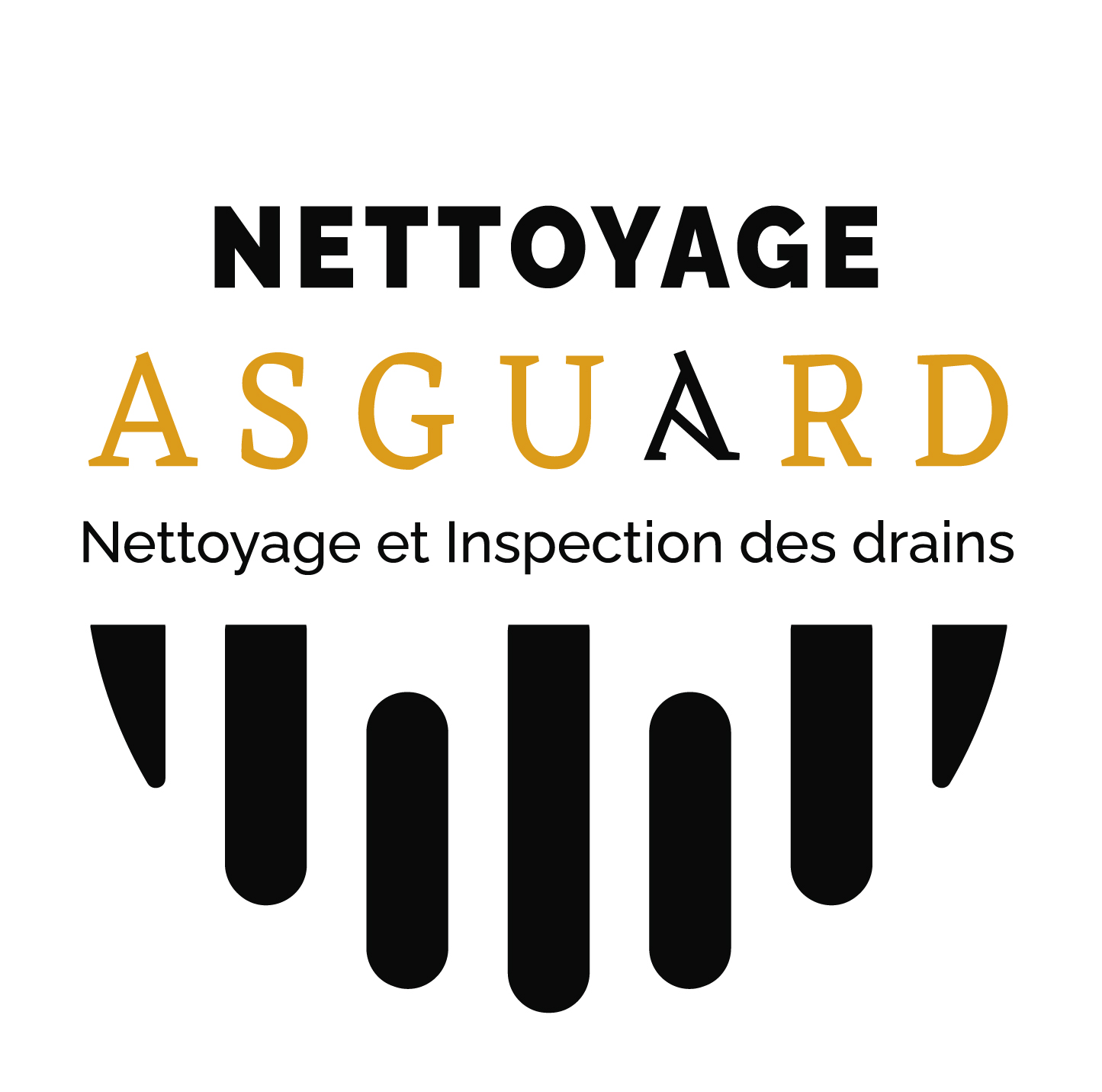 Images Nettoyage Asguard