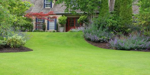 4 Ways to Improve Your Grass Taylor's Weed & Pest Control LLC Hobbs (575)492-9247