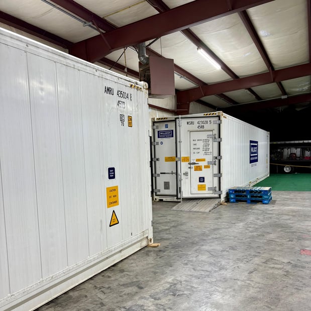 Images Phoenix Electrical