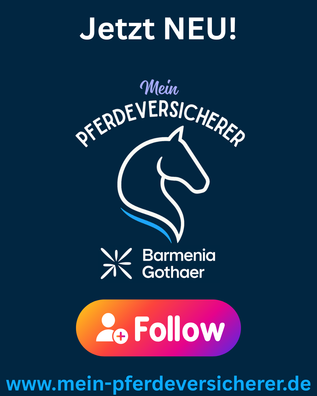 Bilder Mein Pferdeversicherer