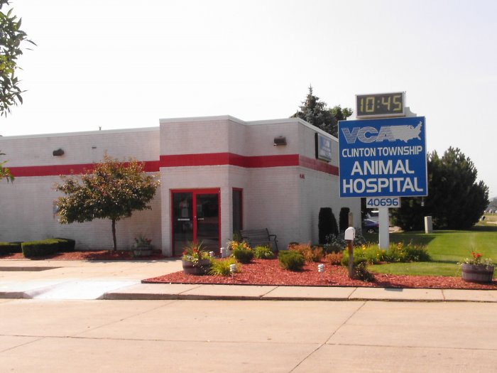 Images VCA Clinton Township Animal Hospital