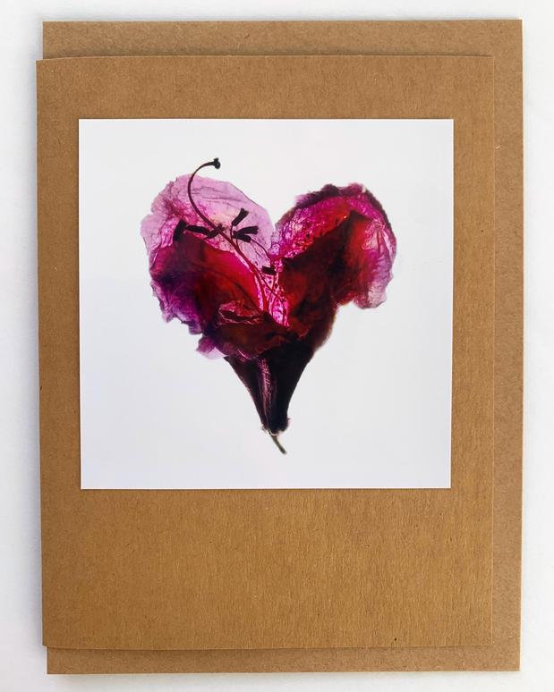 Images Greenville Center for Creative Arts