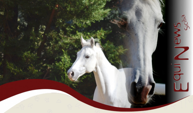 Images Garsigliana Sport Equestri