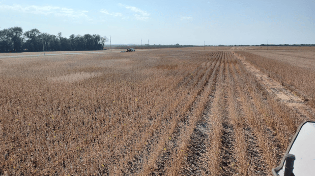 Images Southwest Seed Research LLC