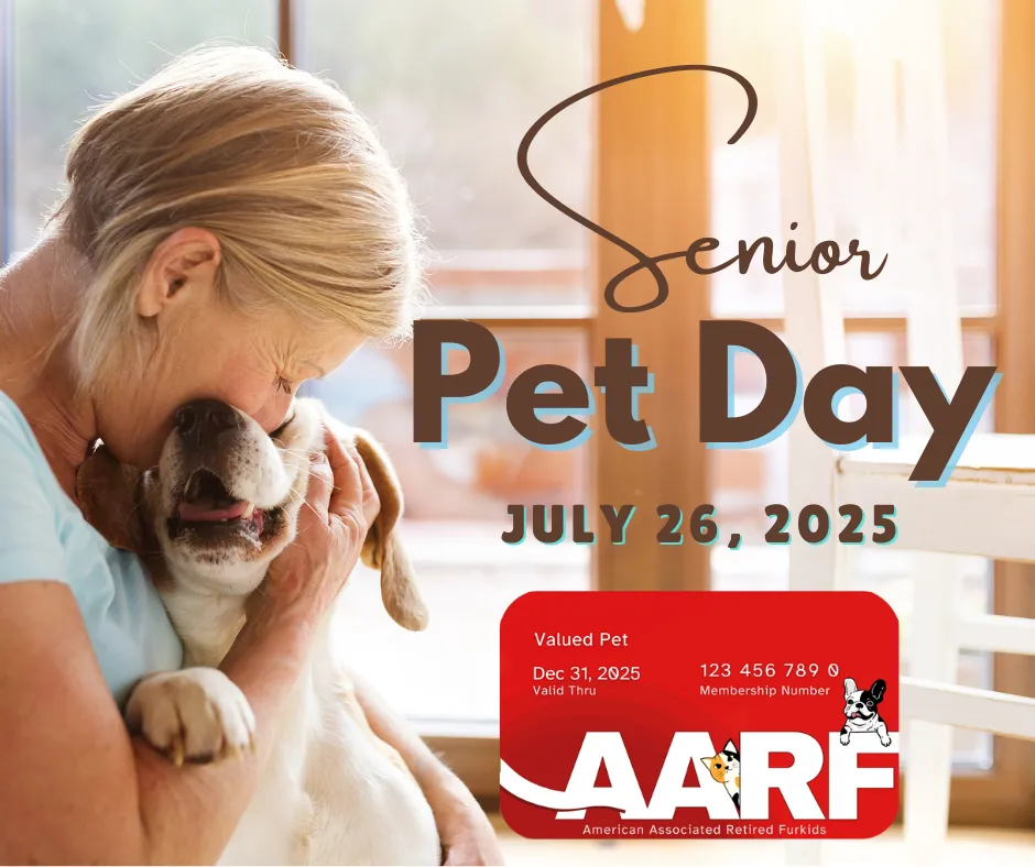 Image of Local Pet Event Senior Pet Day with Albert's Dog Lounge in MUKWONAGO! Nearby