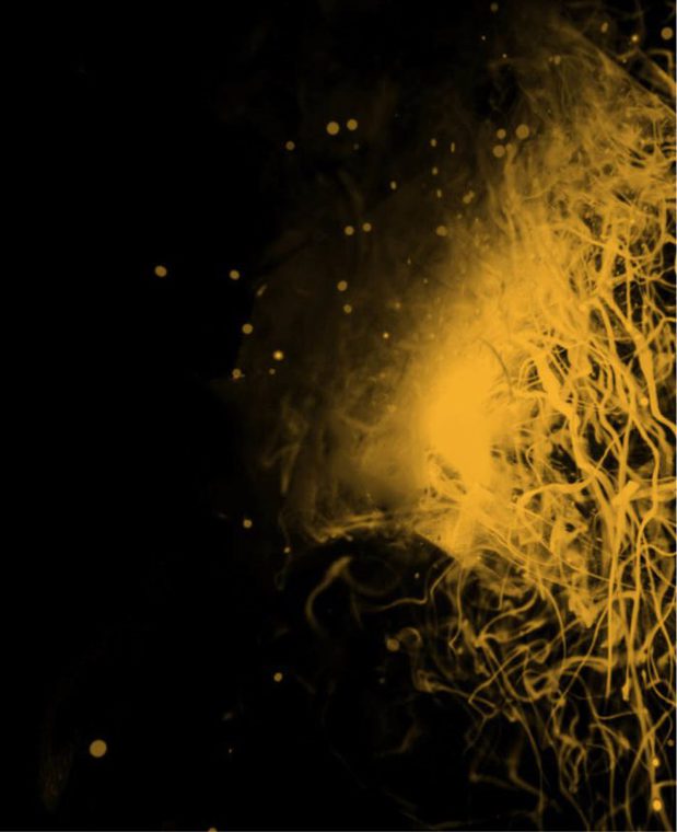 Images Verifiable Results, LLC