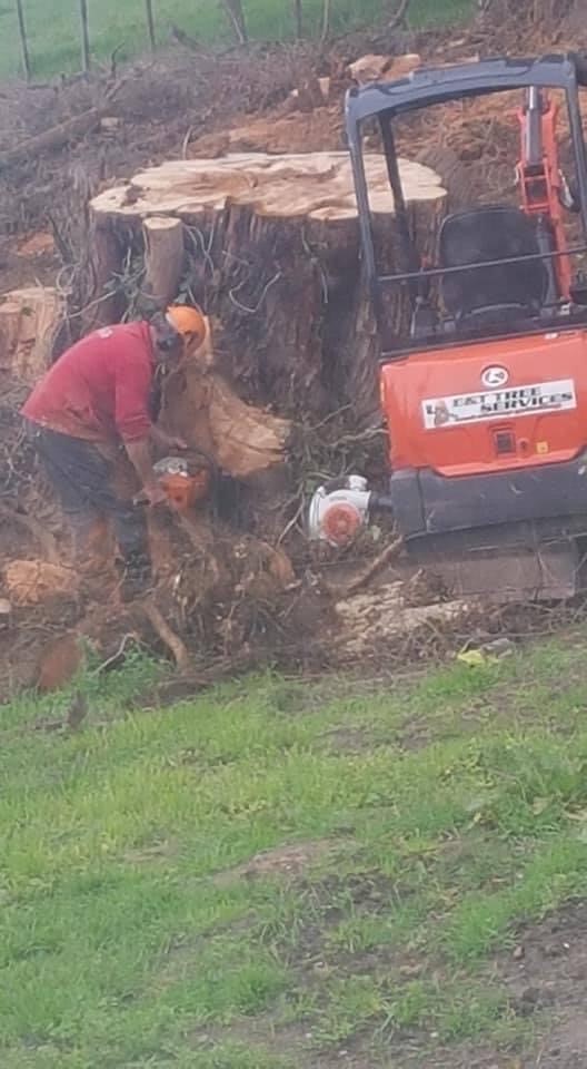 Images E&T Tree Services And Stump Grinding