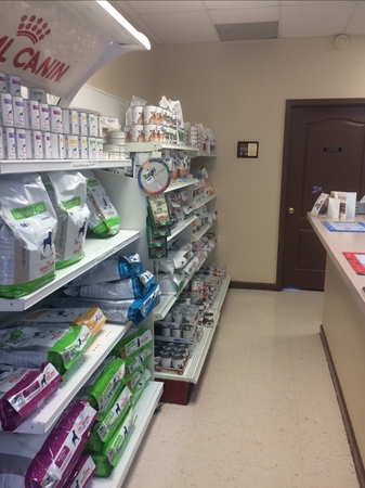 Images Animal Hospital of Central Brevard