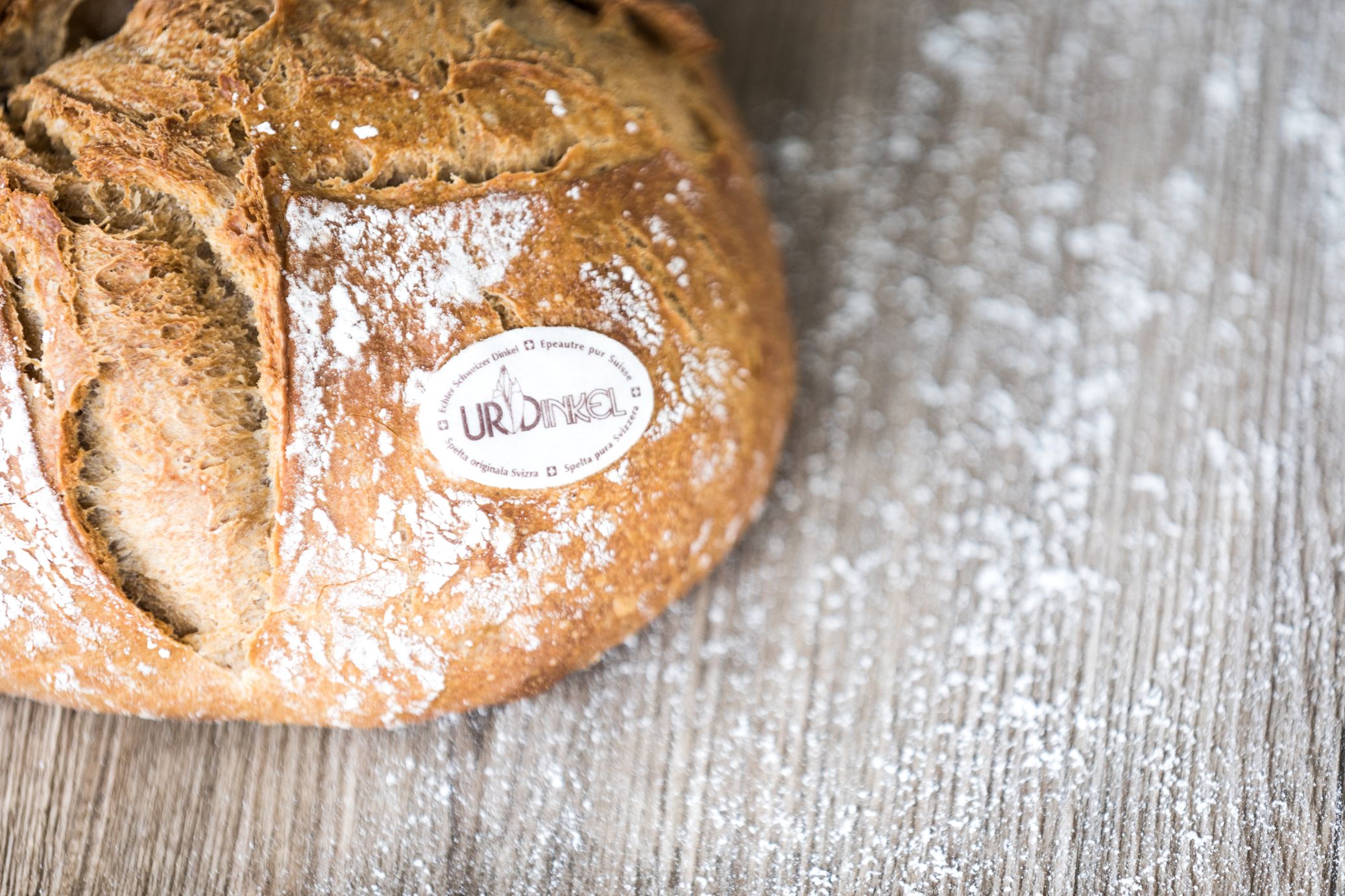 Bäckerei Konditorei Sterchi Länggasse-Brückfeld, Neubrückstrasse 71 in Bern