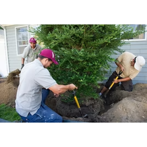 Images Nature's Touch Landscaping, Inc.