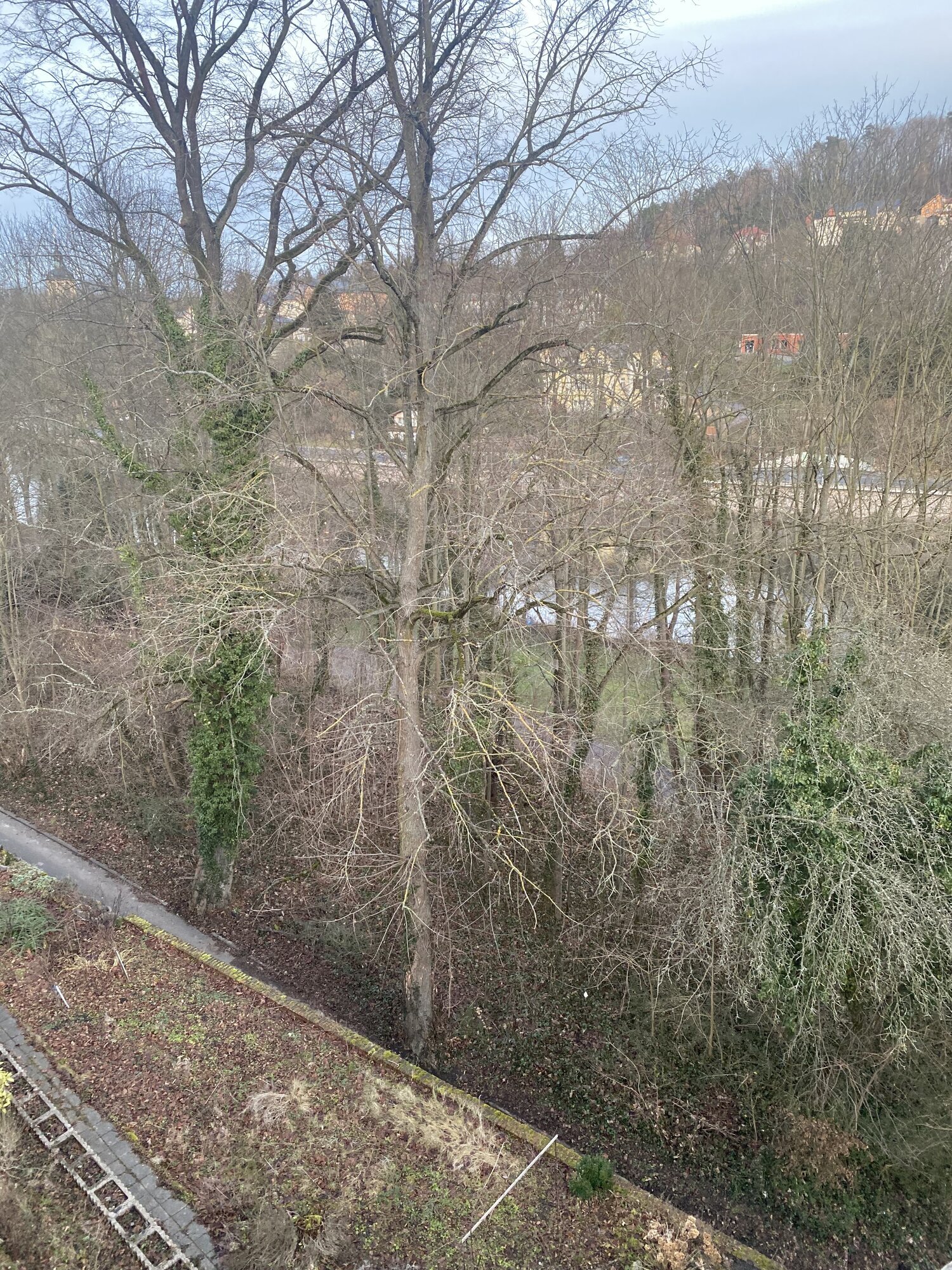 P  G INVEST GmbH, Vogtstraße 01 in Waldheim