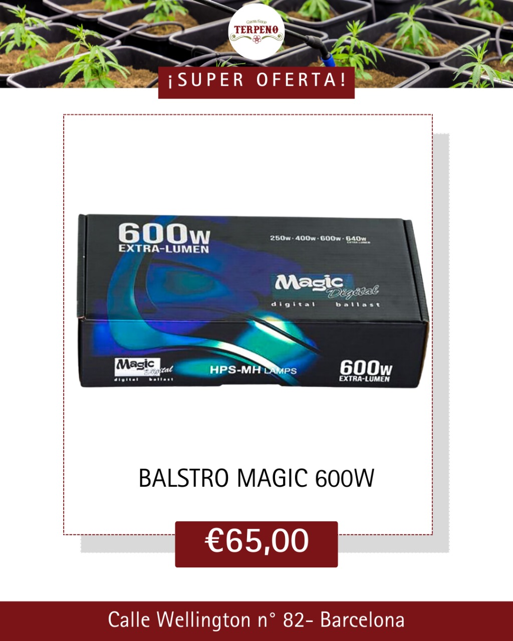 Images Grow Shop Terpeno