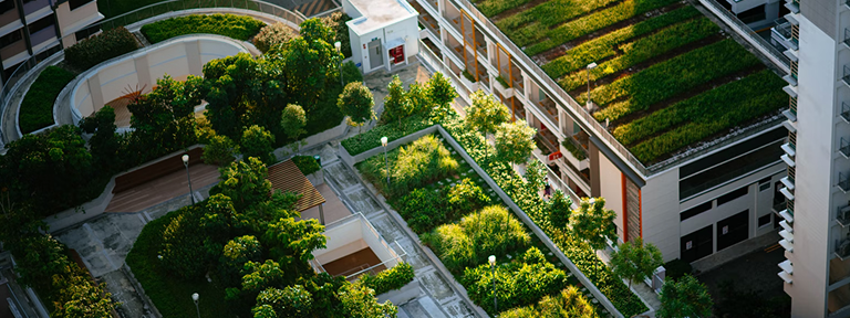 Aerial view of green apartment rooftops in a city centre.