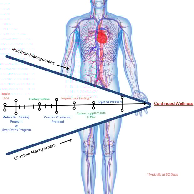 Images Pure Root Wellness