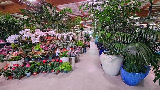 Images Deep Roots Garden Center