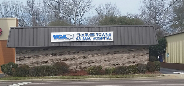 Images VCA Charles Towne Animal Hospital