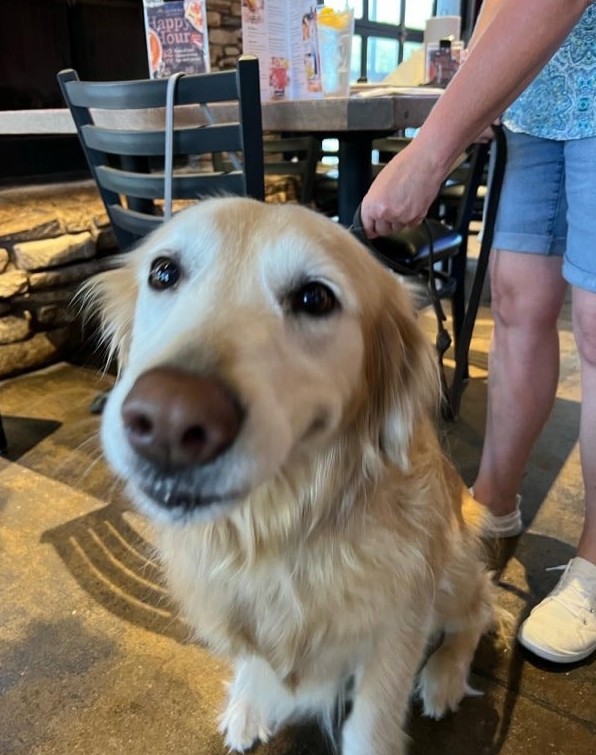 Images Anchor Bar Round Rock