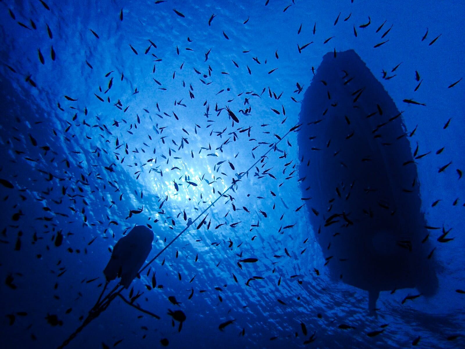 Images CENTRE D'IMMERSIÓ CAP DE CREUS