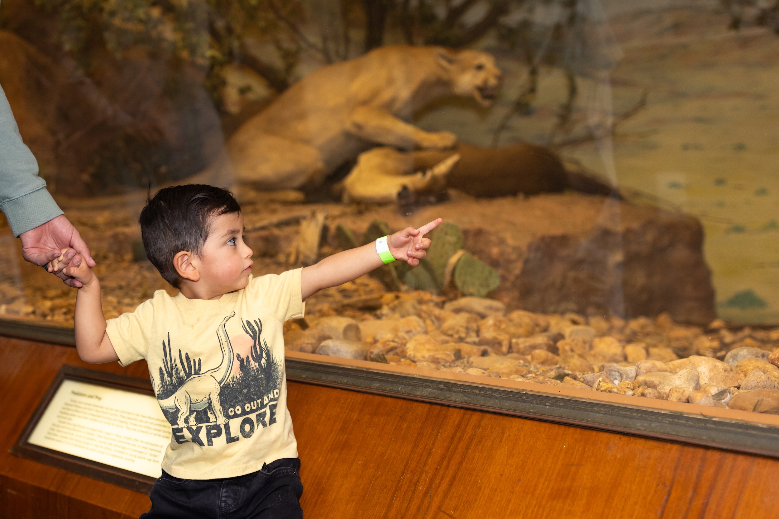 Texas Science & Natural History Museum