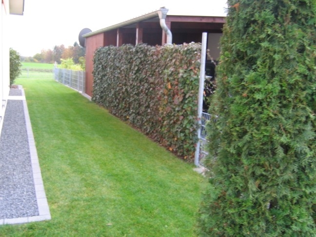 MAUCH-KONZEPTE für Garten und Landschaft, Aichheimstr. 7 in Altenstadt