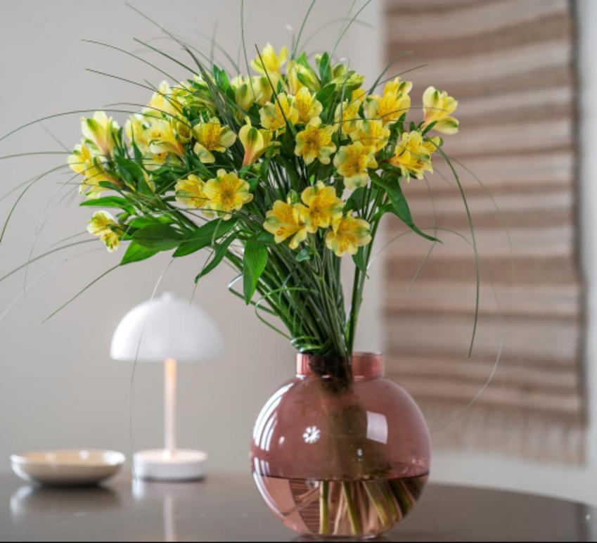 Images MATHISENS BLOMSTER AS