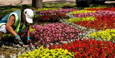 Selecting Spring Flowers to Add Color to Your Landscaping Sharp Lawn Inc. Nicholasville (859)253-6688