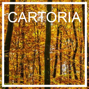 Images Cartoria