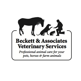 Beckett & Associate Veter