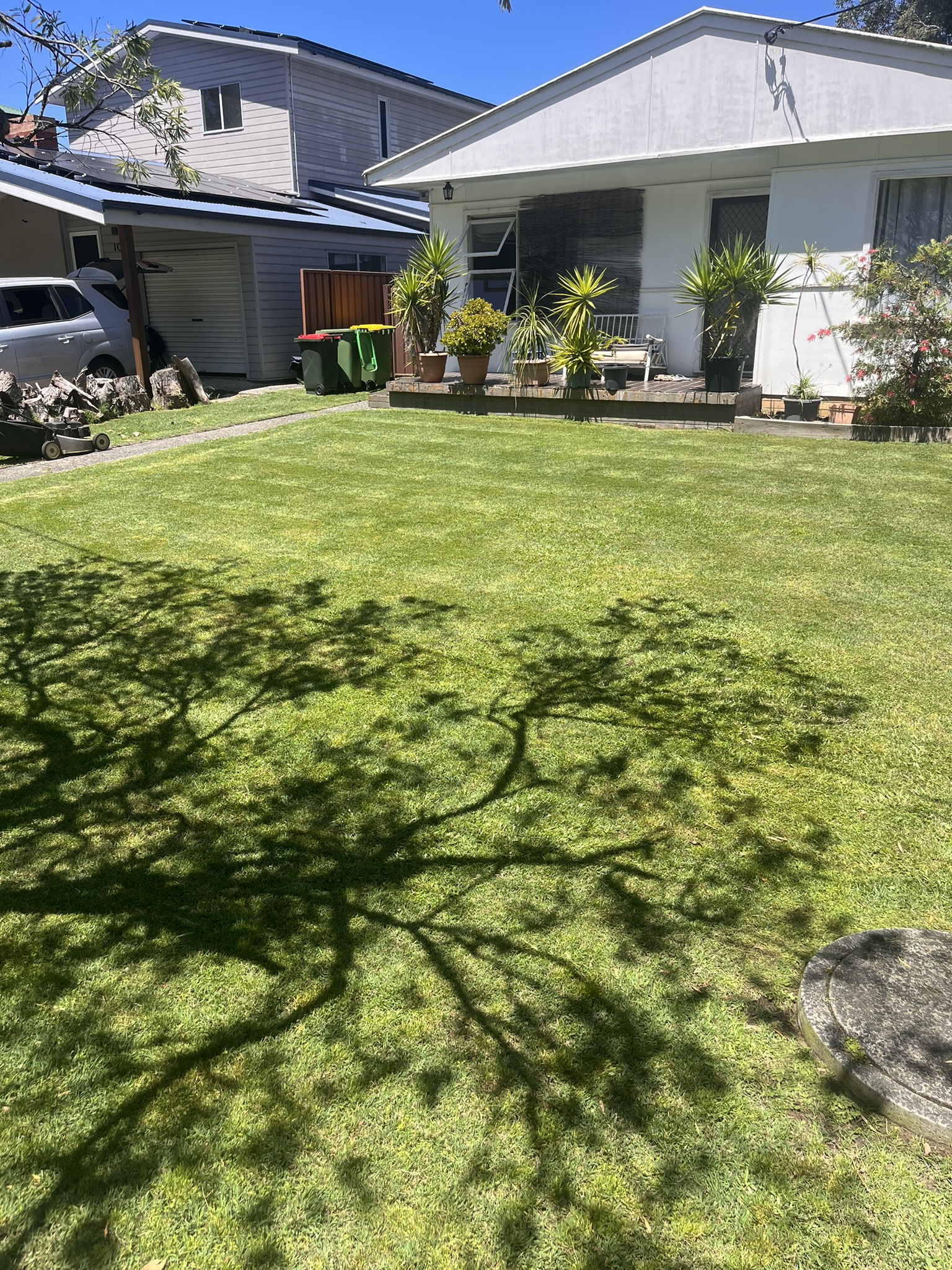 Images Budget Lawns Plus