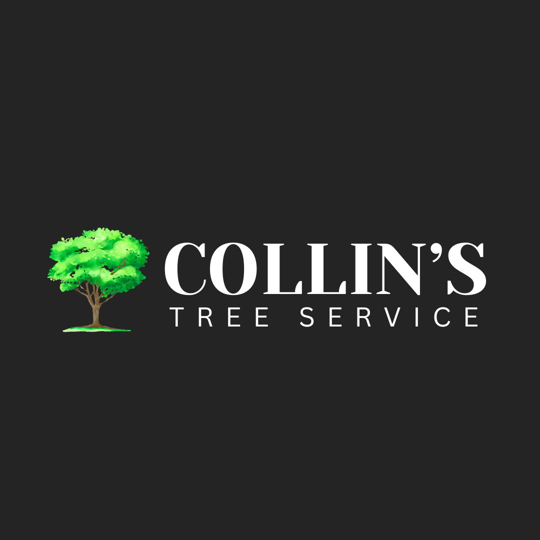 Collin's Tree Service