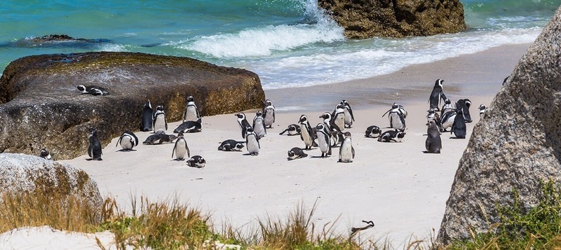 Images New Proget Agenzia Viaggi